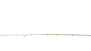 Roto NT Stulpgetriebe HS - Gr. 2290/640 - Konstant